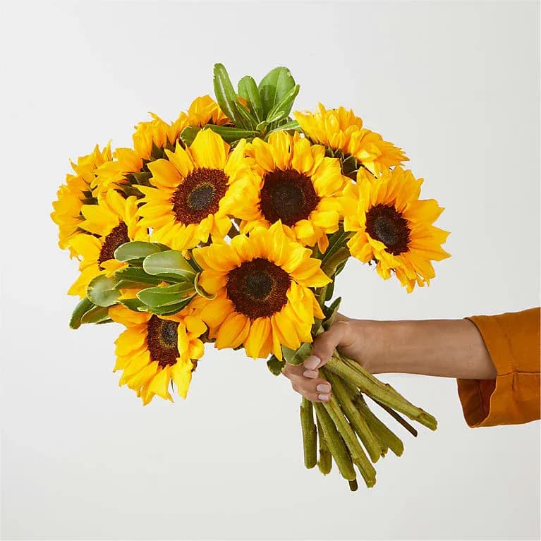 Honey Bee Sunflower Bouquet 10 Stems