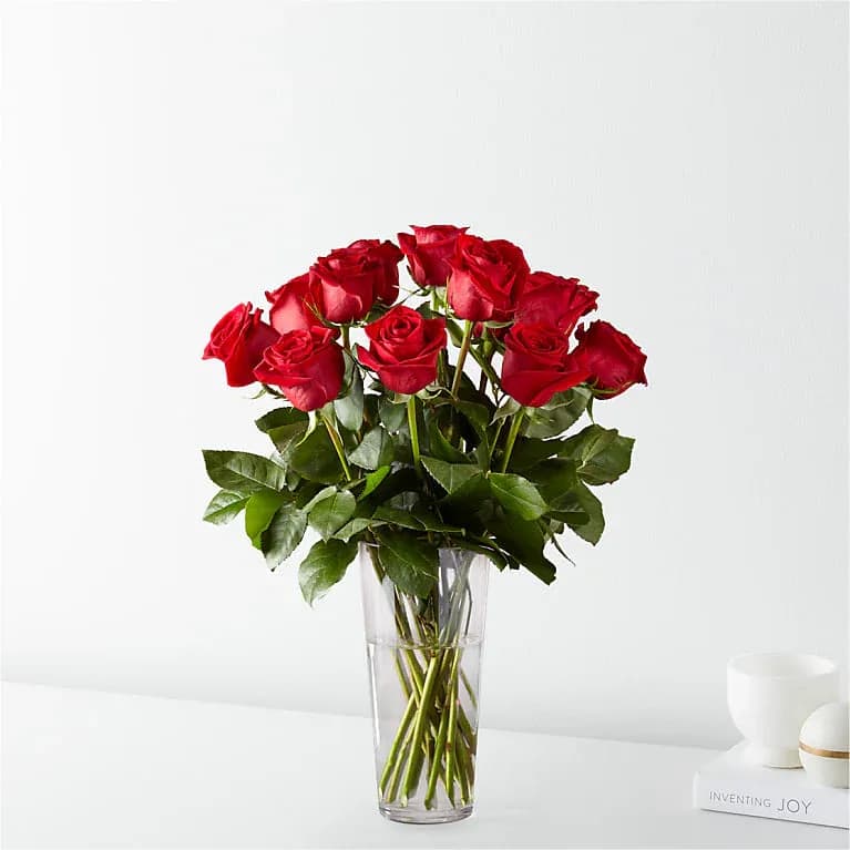 Long Stem Red Rose Bouquet Standard - 12 Roses