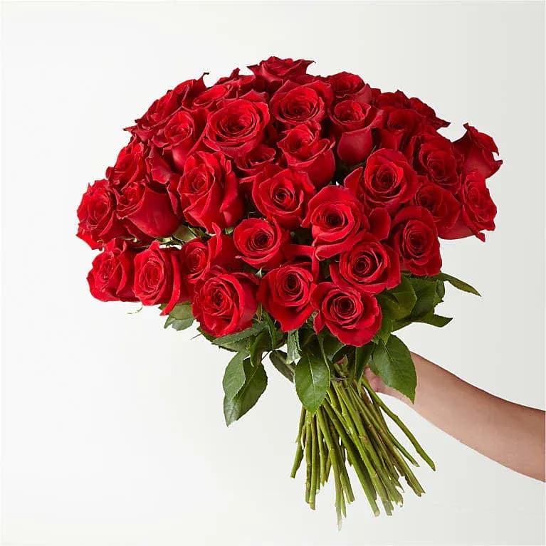 Fifty Long Stem Red Roses 50 Roses