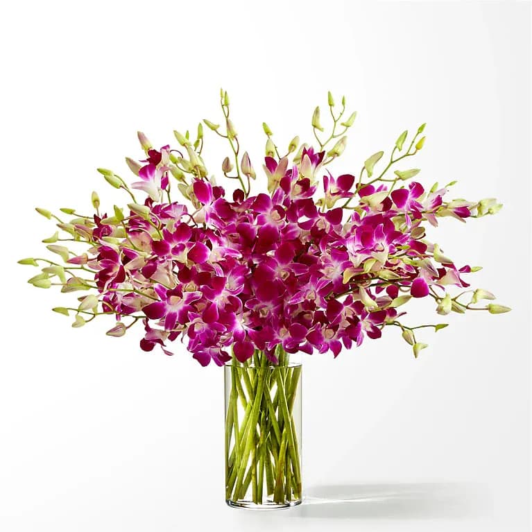 Positively Purple Orchid Bouquet