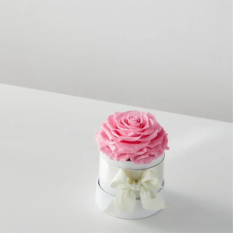 Pink Forever Roses Single Preserved Rose